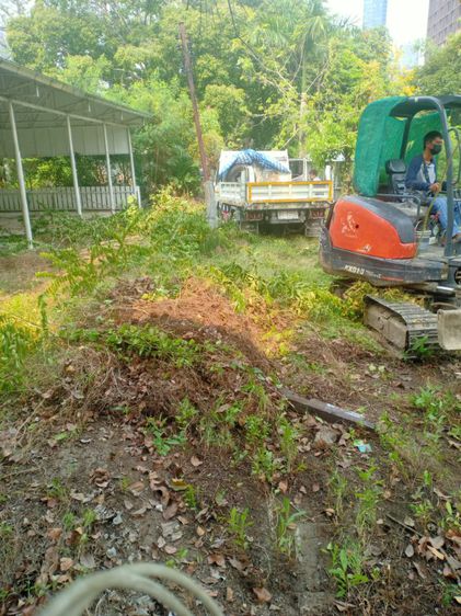 เคลียวัชพืช ขนทิ้งออกนอกพื้นที่ รูปที่ 3