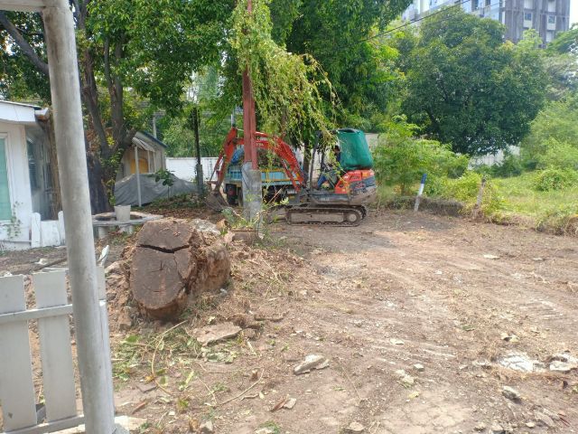 เคลียวัชพืช ขนทิ้งออกนอกพื้นที่ รูปที่ 9