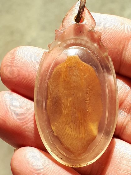 พระโพธิจักร ท่านพ่อลี วัดอโศการาม เขาควายเผือกแกะ รูปใบโพธิ์เ เป็นพิมพ์พระเครื่องมาตราฐานของท่านพ่อลี ออกวัดป่าคลองกุ้ง สวย สมบูรณ์ เก่า แท้ รูปที่ 2