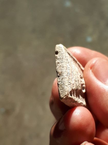 พระสมเด็จ กรุบางขุนพรหม พิมพ์สังฆาฏิ มีหู เนื้อผง พิมพ์คม ชัด หลังสวยมาก ขอบไม่คม เนื้อแห้ง เนื้อหาเข้มข้น เนื้อพรุน ผิวเปิด สวย สมบูรณ์มาก  รูปที่ 7