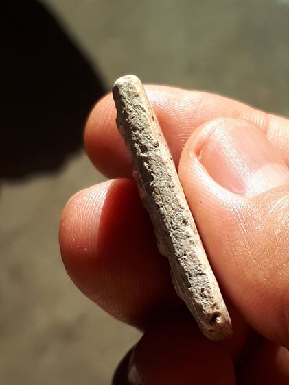 พระสมเด็จ กรุบางขุนพรหม พิมพ์สังฆาฏิ มีหู เนื้อผง พิมพ์คม ชัด หลังสวยมาก ขอบไม่คม เนื้อแห้ง เนื้อหาเข้มข้น เนื้อพรุน ผิวเปิด สวย สมบูรณ์มาก  รูปที่ 3