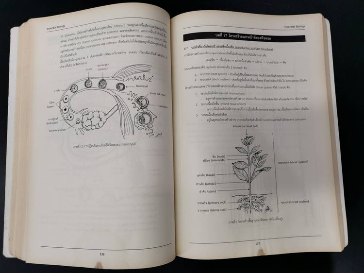 หนังสือสรุปหลักชีววิทยา Essential BIOLOGY สำหรับระดับชั้นมัธยมศึกษาและอุดมศึกษา รูปที่ 6