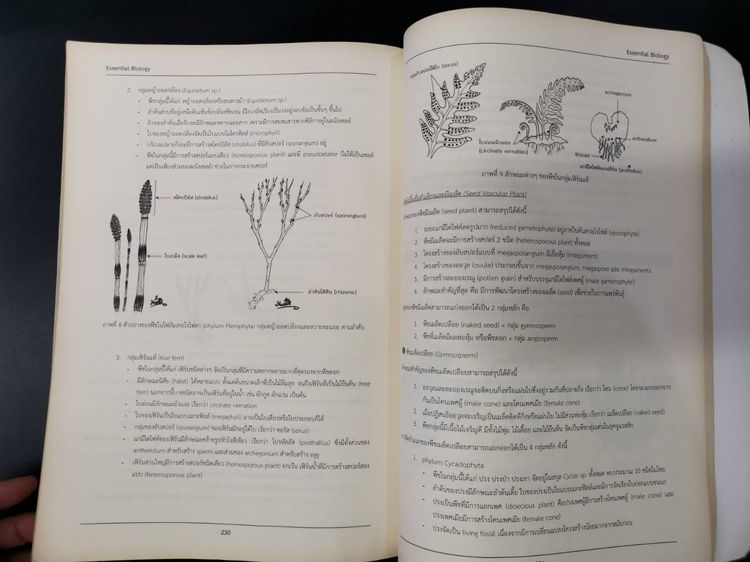 หนังสือสรุปหลักชีววิทยา Essential BIOLOGY สำหรับระดับชั้นมัธยมศึกษาและอุดมศึกษา รูปที่ 3