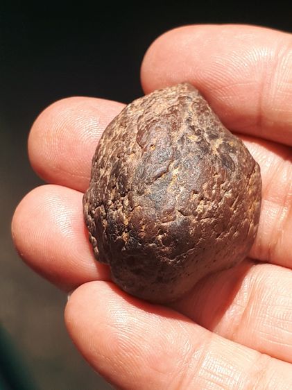 คตปลวก สีดำอมแดง ขนาดประมาณ 4 ซม มีน้ำหนัก ผิวแห้ง เหี่ยวย่น พรุน เป็นธรรมชาติ สภาพสวย สมบูรณ์เก่า แท้ แปลก หายาก พุทธคุณโดดเด่นทางด้าน เหนี รูปที่ 8