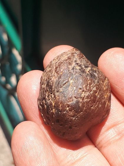 คตปลวก สีดำอมแดง ขนาดประมาณ 4 ซม มีน้ำหนัก ผิวแห้ง เหี่ยวย่น พรุน เป็นธรรมชาติ สภาพสวย สมบูรณ์เก่า แท้ แปลก หายาก พุทธคุณโดดเด่นทางด้าน เหนี รูปที่ 2