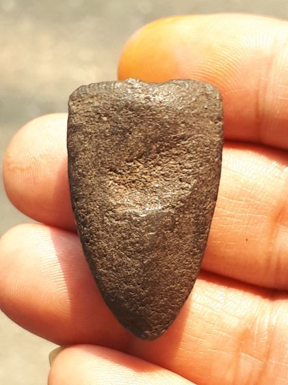 พระหลวงปู่ทวด พิมพ์กรรมการ เนื้อว่าน ปี 2497 ด้านหลังเรียบ เนื้อเทาดำ ดินกากยายักษ์ แห้ง เหี่ยว มีน้ำหนัก ผิวเดิมๆ ด้านหลังมีแร่บางเล็กน้อย รูปที่ 7