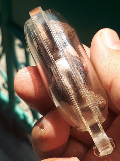 รากไม้กาหลงตายพราย ขนาดยาว 2 นิ้ว รูปทรงสวย แห้ง เหี่ยว เก่า แท้ หายากมากๆ พร้อมเลี่ยมเดิมๆ   รากไม้กาหลงตายพราย ถือเป็นสิ่งวิเศษกายสิทธิ์โด รูปที่ 6