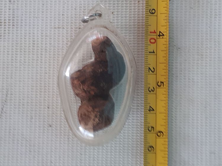 รากไม้กาหลงตายพราย ขนาดยาว 2 นิ้ว รูปทรงสวย แห้ง เหี่ยว เก่า แท้ หายากมากๆ พร้อมเลี่ยมเดิมๆ   รากไม้กาหลงตายพราย ถือเป็นสิ่งวิเศษกายสิทธิ์โด รูปที่ 7