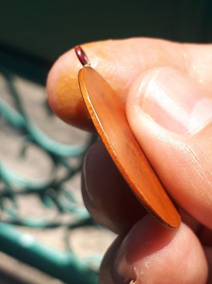 เหรียญพระปิดตา หลวงพ่อแก้ว วัดเครือวัลย์ เนื้อทองแดงเถื่อน หลังเรียบ หูเชื่อม จารมือทั้งหน้า หลัง ปี 2470 ผิวสองสี สวยมาก เก่า แท้ แปลก หายา รูปที่ 3