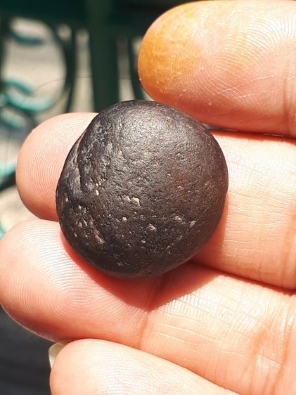 คตผลไม้ มีเส้นขอบ คตนี้เป็นคตผลไม้ในป่า เนื้อแข็ง ทรงกลมแบน ขนาดกำลังสวย ผิวสีน้ำตาลเข้ม ผิวมัน มีน้ำหนัก กลายเป็นหินชัดเจนมากๆ เก่า เนื้อแห รูปที่ 8