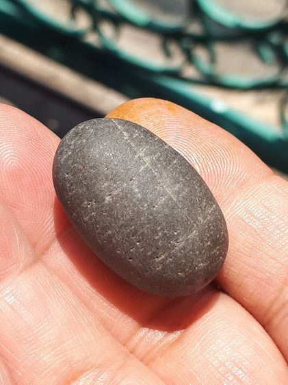 คตผลไม้ ทรงรี ขนาดกำลังสวย ผิวสีน้ำตาลเข้ม ผิวมัน มีน้ำหนัก เนื้อแข็ง กลายเป็นหินชัดเจนมากๆ เก่า เนื้อแห้ง แข็ง คตนี้เป็นคตผลไม้ในป่า อายุหล รูปที่ 3