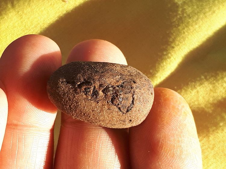 พระปิดตา หลังอูม มียันต์ เนื้อผงว่าน แห้ง เหี่ยว เก่า แท้ แปลก อย่างสวย ไม่รุ้ที่  รูปที่ 11