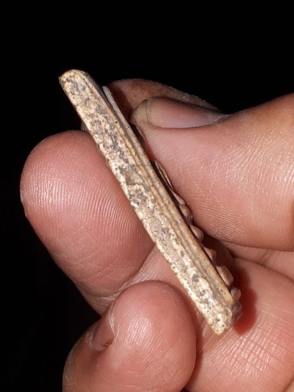 พระสมเด็จ วัดระฆัง พิมพ์ปรกโพธิ์ใหญ่ พิมพ์ทรง คมชัด เนื้อผงพุทธคุณ หนึกนุ่ม เนื้อจัดมาก มีคราบเก่า แท้ หายากมากๆๆๆ พร้อมใบเซอร์ ประกาศนียบัต รูปที่ 5