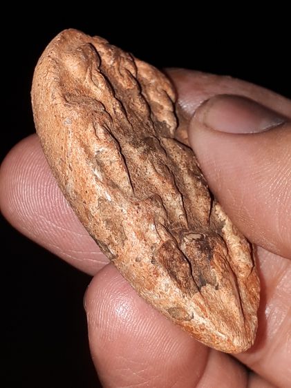 พระเจ้าสิบพระองค์ หลังอูม พระเนื้อดิน ไม่ทราบกร ขนาดใหญ่ประมาณ 2 นิ้ว เนื้อดินเดิมๆ แท้ดูง่าย เก่า แห้ง รอยยุบ การหดตัวของเนื้อดิน ผิวสองสี  รูปที่ 4