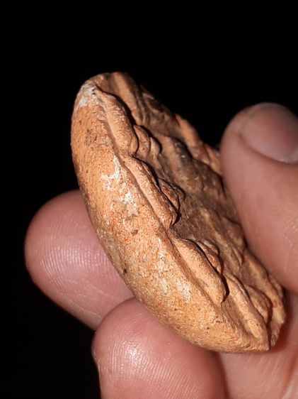 พระเจ้าสิบพระองค์ หลังอูม พระเนื้อดิน ไม่ทราบกร ขนาดใหญ่ประมาณ 2 นิ้ว เนื้อดินเดิมๆ แท้ดูง่าย เก่า แห้ง รอยยุบ การหดตัวของเนื้อดิน ผิวสองสี  รูปที่ 5