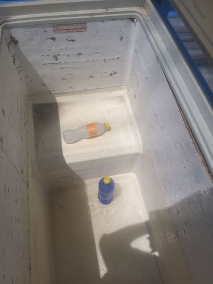 ตู้แช่ยี่ห้อSanyo ใช้งานได้ปกติ
สนนราคาขายที่ 3500บาทไทย
พิกัด ฉะเชิงเทราแปดริ้ว City
👻 รูปที่ 15