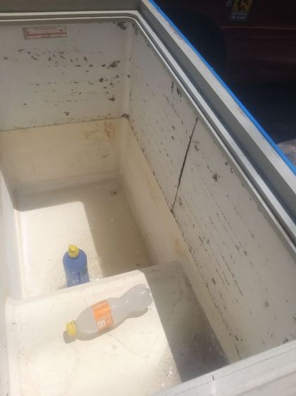 ตู้แช่ยี่ห้อSanyo ใช้งานได้ปกติ
สนนราคาขายที่ 3500บาทไทย
พิกัด ฉะเชิงเทราแปดริ้ว City
👻 รูปที่ 12