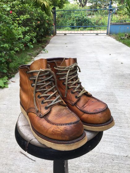 vintage red wings 875 รูปที่ 7