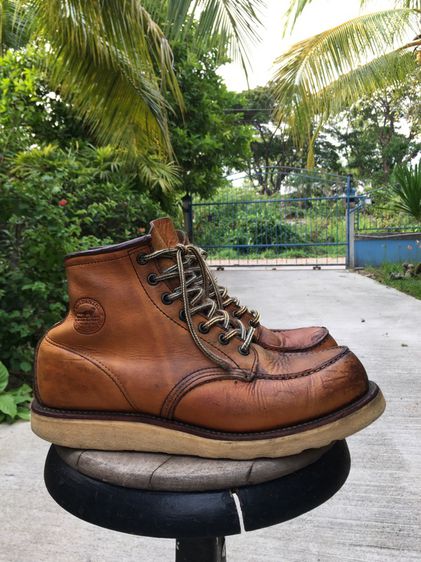vintage red wings 875 รูปที่ 5