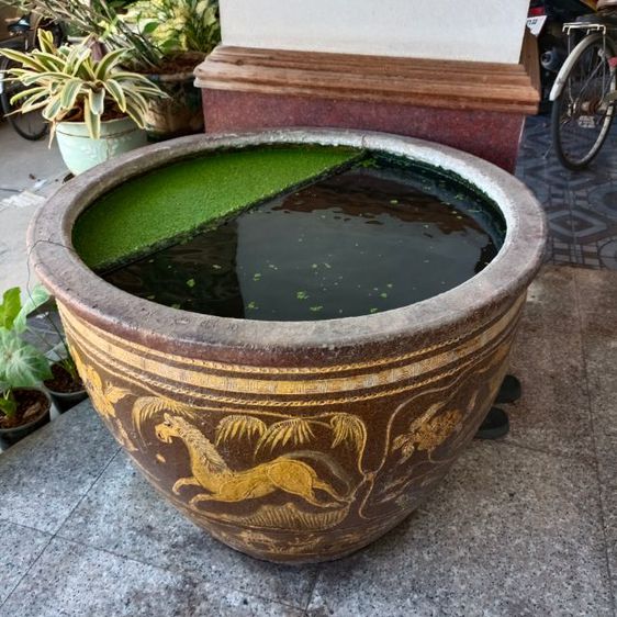 Antique Chinese lotus basin big size รูปที่ 4