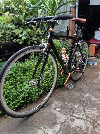 ⛔GIANT tradist⛔ รูปที่ 3