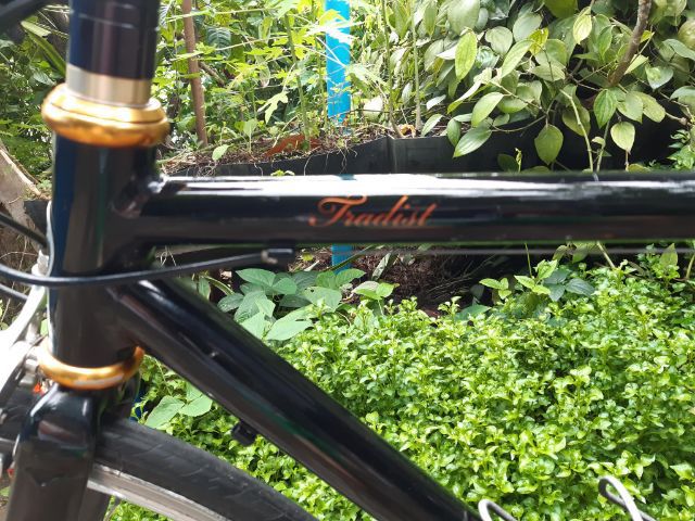 ⛔GIANT tradist⛔ รูปที่ 8