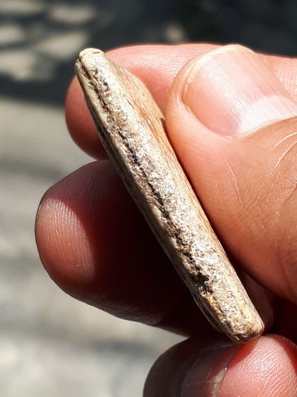 พระสมเด็จ วัดเกศไชโย หลังเรียบ ปี 24xx พิมพ์ 6 ชั้นอกร่อง เนื้อผง เนื้อเหลือง ผิวเป็นธรรมชาติ แตกลาน ขอบไม่คม เนื้อผงละเอียด จัด มวลสารครบถ้ รูปที่ 5