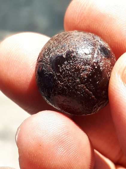 ลูกอม เนื้อผงคลุกรัก สีน้ำตาล รูปทรงกลมมน ขนาด 1 Cm. แข็ง ผิวเป็นไปตามธรรมชาติ ยุบย่น มีน้ำหนัก สภาพสมบูรณ์ สวยงาม เก่า แท้ แปลก หายาก ไม่รู รูปที่ 6