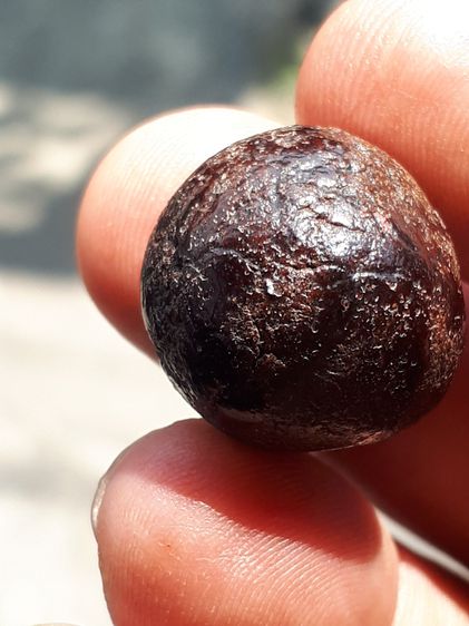 ลูกอม เนื้อผงคลุกรัก สีน้ำตาล รูปทรงกลมมน ขนาด 1 Cm. แข็ง ผิวเป็นไปตามธรรมชาติ ยุบย่น มีน้ำหนัก สภาพสมบูรณ์ สวยงาม เก่า แท้ แปลก หายาก ไม่รู รูปที่ 5