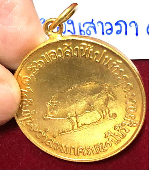 เหรียญหมูเสาวภา หมูทองไม่ลงยา สมัย ร.6 รูปที่ 8