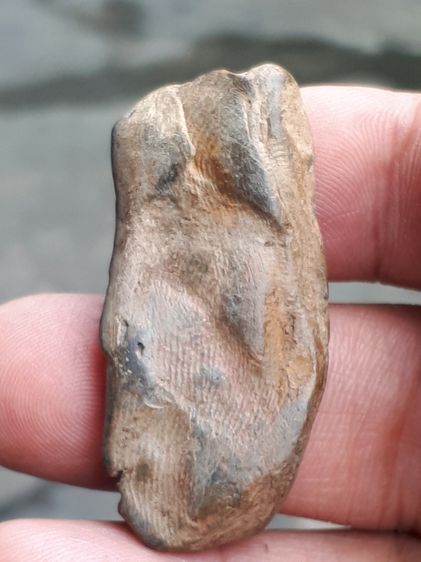 พระนาคปรก กรุกำแพงเพชร เนื้อดินเผา ผิว 2 สี ออกสีอมดำ แห้ง เหี่ยว ยุบย่น เนื้อละเอียด สภาพสวยมาก เก่า แท้ แปลก หายาก ไม่รู้กรุ รูปที่ 4