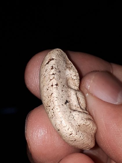 พระกรุวัดพลับ เนื้อผง พิมพ์สมาธิ เนื้อออกขาวอมเหลือง เนื้อแห้ง แตกลาน เป็นธรรมชาติ สวย สมบูรณ์ เก่า หายาก องค์นี้สวย แท้ดูง่าย      รูปที่ 4