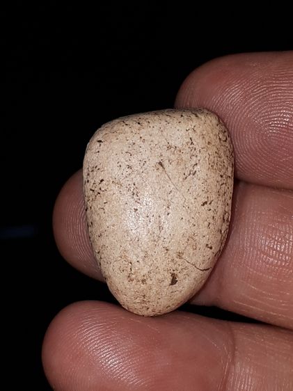 พระกรุวัดพลับ เนื้อผง พิมพ์สมาธิ เนื้อออกขาวอมเหลือง เนื้อแห้ง แตกลาน เป็นธรรมชาติ สวย สมบูรณ์ เก่า หายาก องค์นี้สวย แท้ดูง่าย      รูปที่ 7