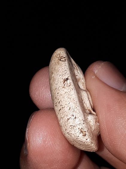 พระกรุวัดพลับ พิมพ์สมาธิ เนื้อผง เนื้อออกขาวอมเหลือง เนื้อแห้ง แตกลาน เป็นธรรมชาติ สวย สมบูรณ์ เก่า หายาก องค์นี้สวย แท้ดูง่าย พระกรุวัดพลับ รูปที่ 6