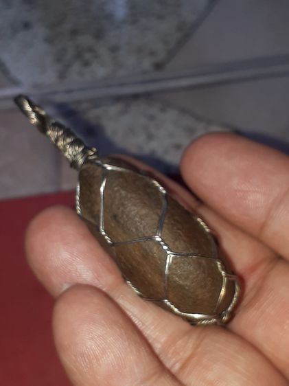 คตผลไม้ สีดำอมน้ำตาล รูปทรงรี กลมมน ขนาด 2 นิ้ว แข็ง ผิวเป็นไปตามธรรมชาติ ยุบย่น มีน้ำหนัก สภาพสมบูรณ์ สวยงาม เก่า แท้ แปลก หายากมาก ของแท้จ รูปที่ 8