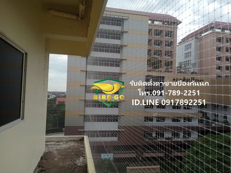 บริการรับติดตั้งตาข่ายกันนก รับติดหนามกันนก และจำหน่ายอุปกรณ์ที่ใช้ติดตั้ง รูปที่ 10