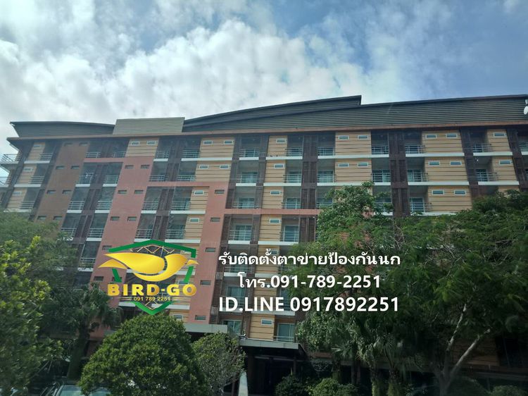 บริการรับติดตั้งตาข่ายกันนก รับติดหนามกันนก และจำหน่ายอุปกรณ์ที่ใช้ติดตั้ง รูปที่ 11