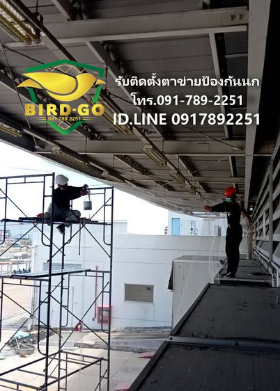 บริการรับติดตั้งตาข่ายกันนก รับติดหนามกันนก และจำหน่ายอุปกรณ์ที่ใช้ติดตั้ง รูปที่ 5