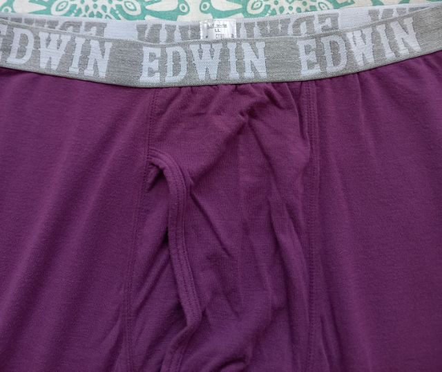 กางเกงชั้นในชาย long johns แบรนด์ EDWIN รูปที่ 1