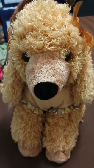 ตุ๊กตาน้องหมาพุดเดิ้ล(มือ1) รูปที่ 2