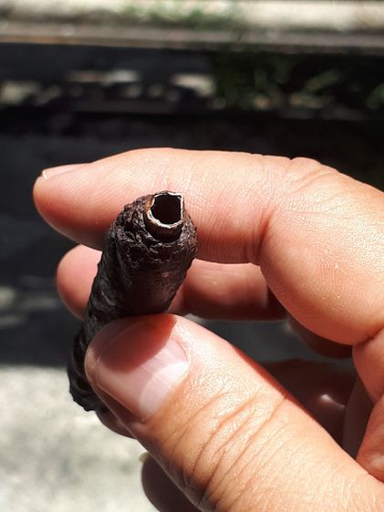 ตะกรุดพอกครั่ง ยุคต้น ยาว3.5 นิ้ว กว้าง 0.6 นิ้ว ปี 24xx ต้นๆ เนื้อทองแดง สภาพสวย ผิวหิ้งเก็บ เก่าเดิมๆ เนื้อทองแดงเก่าจัด เนื้อครั่ง ที่พอก รูปที่ 6