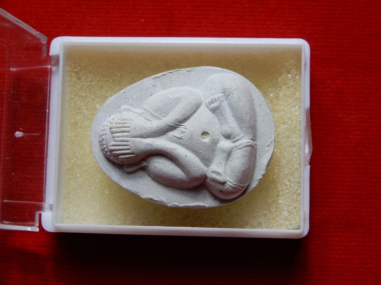 พระปิดตาจัมโบ้ หลังยันต์ดวง หลวงปู่โต๊ะ วัดประดู่ฉิมพลี รุ่น 111 ปี เมตตามหานิยมดีนักแล รูปที่ 4