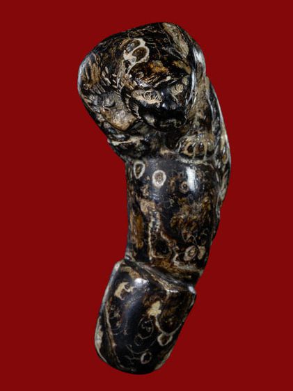 ปลัดขิกหลวงพ่อคง  +บัตรพระแท้ รูปที่ 3