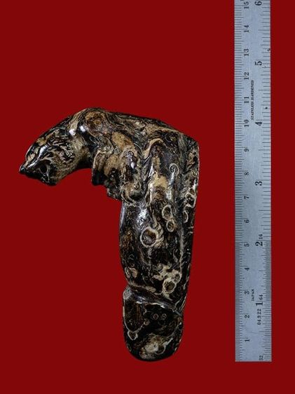 ปลัดขิกหลวงพ่อคง  +บัตรพระแท้ รูปที่ 6