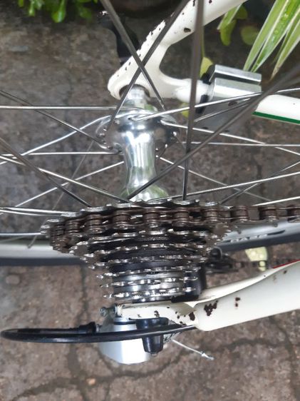 🍁GIOS MIGNON🍁 รูปที่ 9