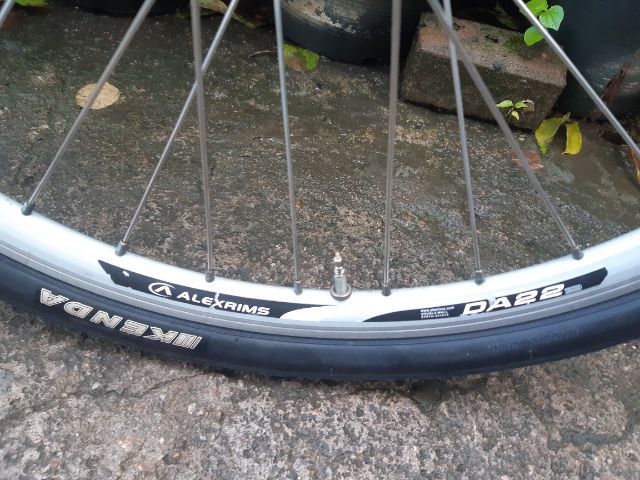 🍁GIOS MIGNON🍁 รูปที่ 14