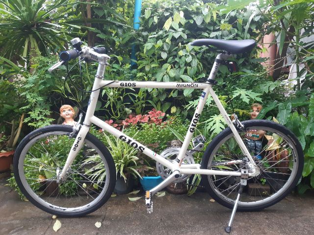 🍁GIOS MIGNON🍁 รูปที่ 16