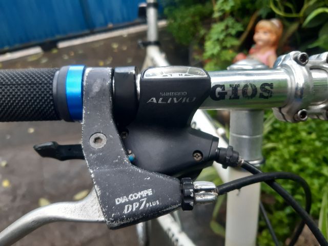 🍁GIOS MIGNON🍁 รูปที่ 6