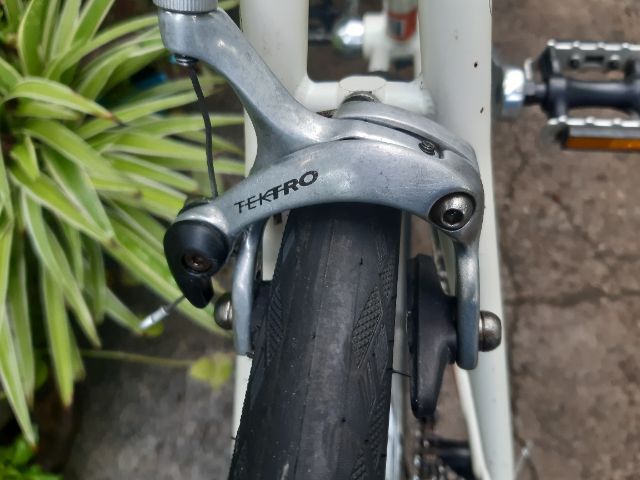 🍁GIOS MIGNON🍁 รูปที่ 8