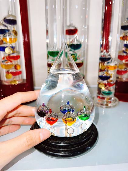 The Thermo florter for beautiful interior life  set 15 อัน รูปที่ 7